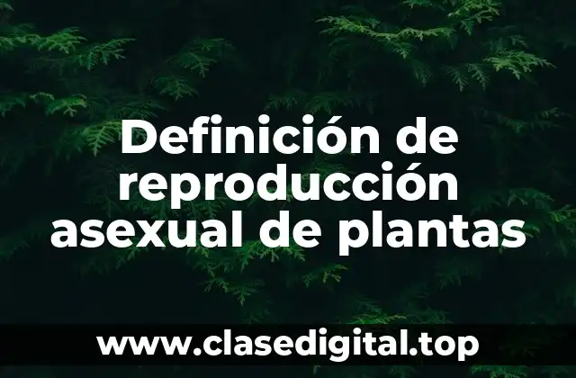 Ejemplos de reproducción asexual de plantas