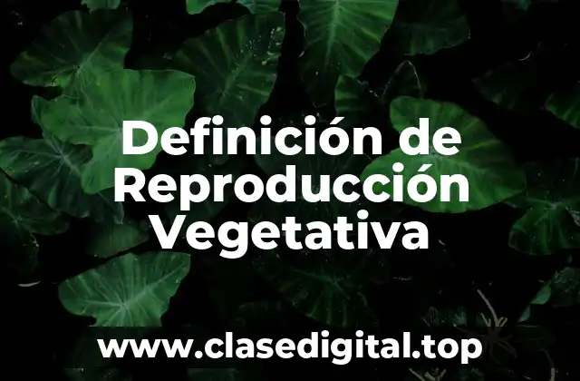 Definición de Reproducción Vegetativa