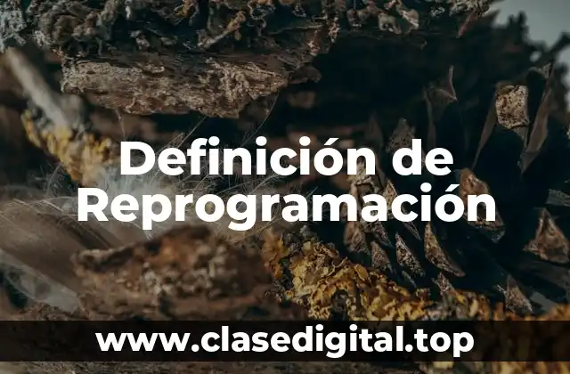Definición de Reprogramación