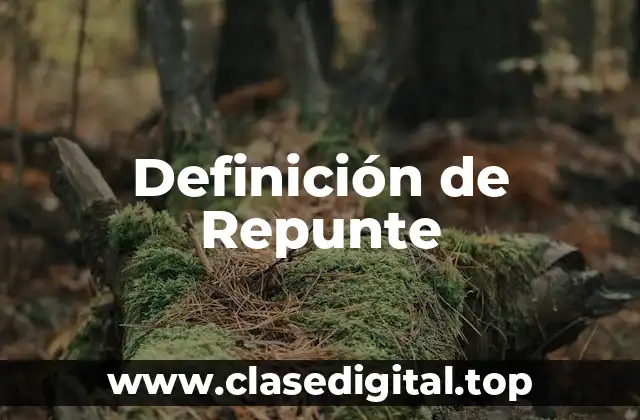 Definición de Repunte