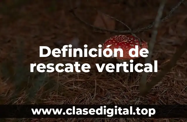 Definición de rescate vertical