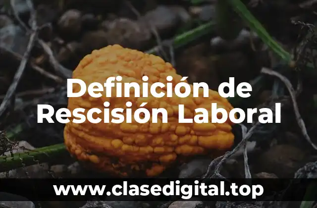 Ejemplos de Rescisión Laboral