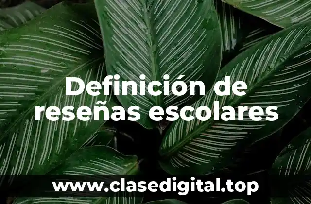 Definición de reseñas escolares
