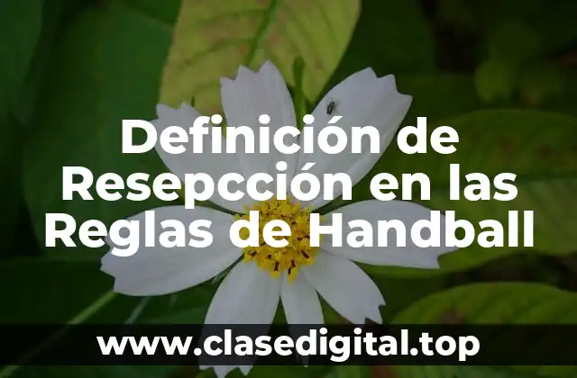 Definición de Resepcción en las Reglas de Handball