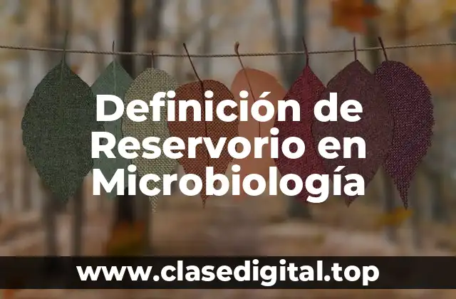 Definición técnica de Reservorio