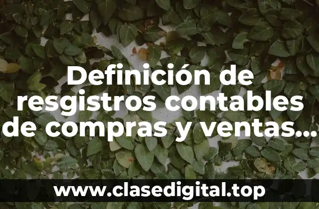 Definición de resgistros contables de compras y ventas a credito