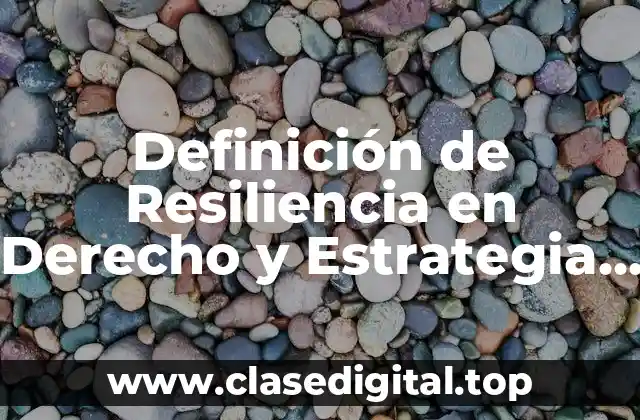 Definición de Resiliencia en Derecho y Estrategia Estatal de Cambio Climático