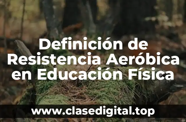 Definición de Resistencia Aeróbica en Educación Física