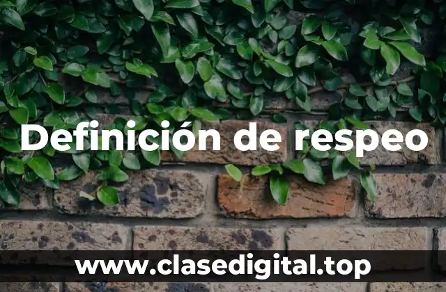 Definición de respeo