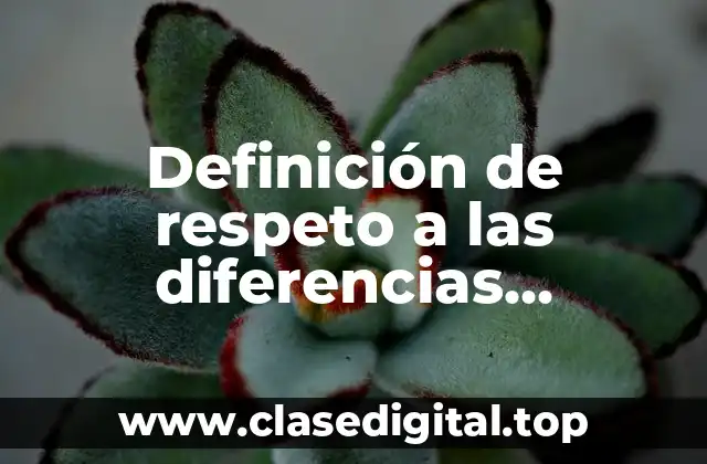 Definición técnica de respeto a las diferencias pluriculturales y multilinguisticas