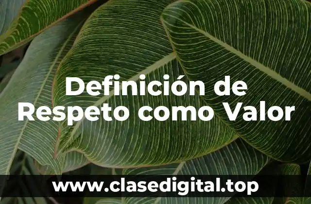 Definición técnica de Respeto como Valor