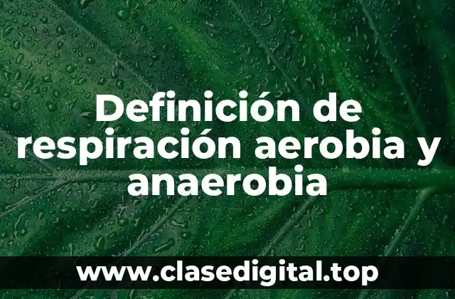 Definición técnica de respiración aerobia y anaerobia