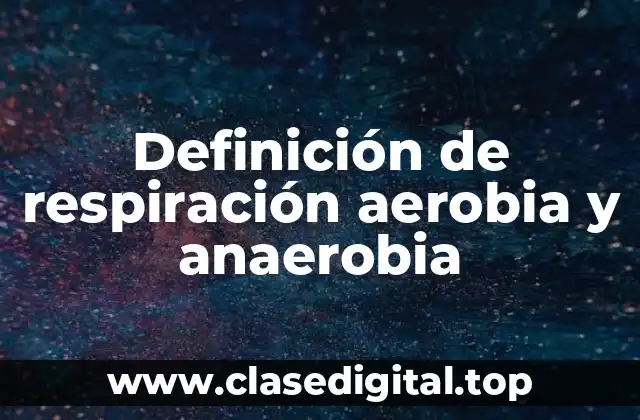 Ejemplos de respiración aerobia