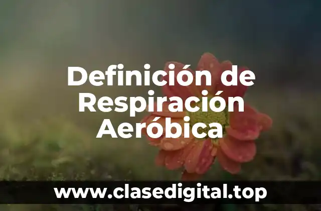 Definición de Respiración Aeróbica