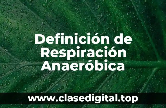 Definición técnica de respiración anaeróbica