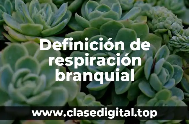 Definición de respiración branquial