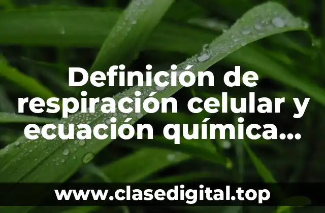 Definición de respiración celular y ecuación química gen