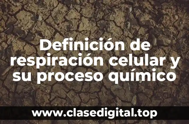 Definición de respiración celular y su proceso químico
