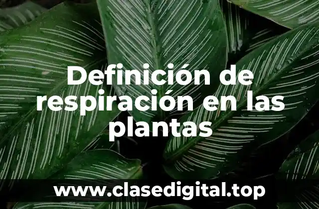 Definición de respiración en las plantas