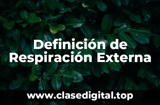 Definición de Respiración Externa