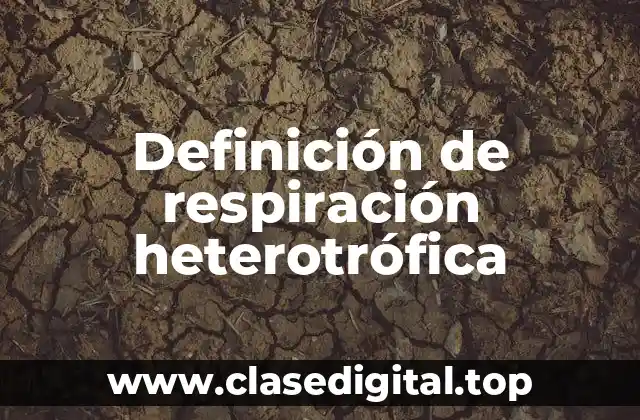 Definición de respiración heterotrófica
