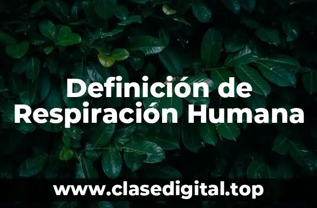 Definición de Respiración Humana