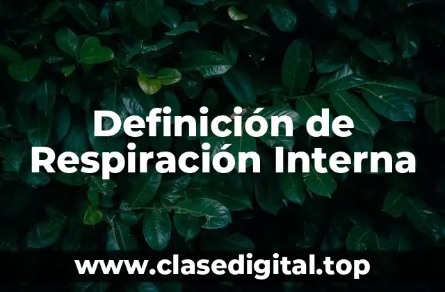 Definición de Respiración Interna