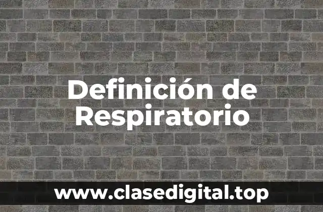 Definición técnica de Respiratorio