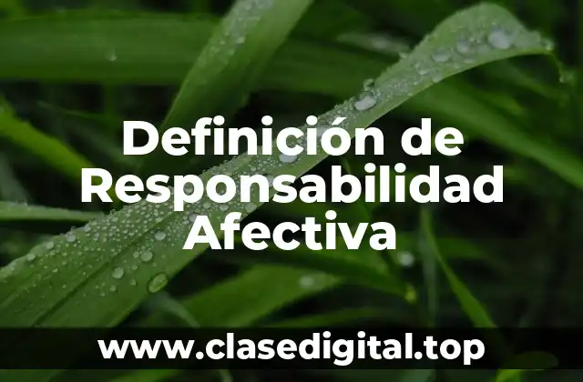 Definición de Responsabilidad Afectiva