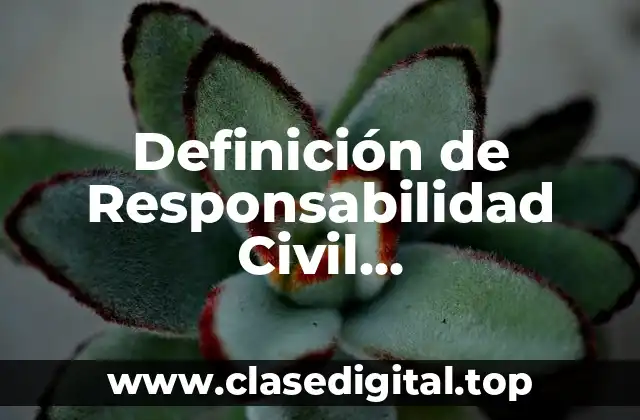 Definición de Responsabilidad Civil Extracontractual