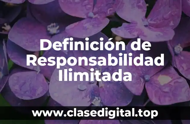 Definición de Responsabilidad Ilimitada