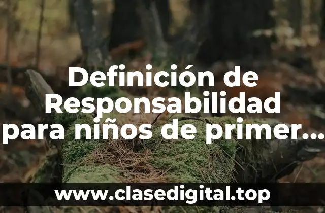 Definición de Responsabilidad para niños de primer grado