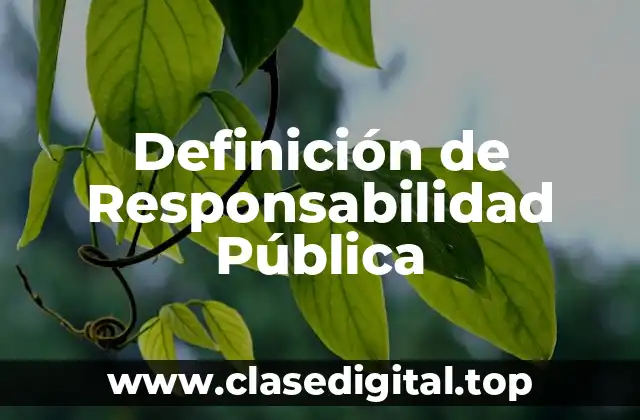 Definición de Responsabilidad Pública