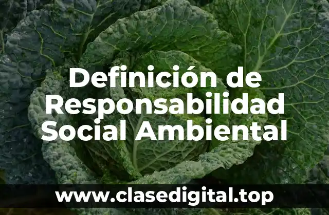 Definición de Responsabilidad Social Ambiental