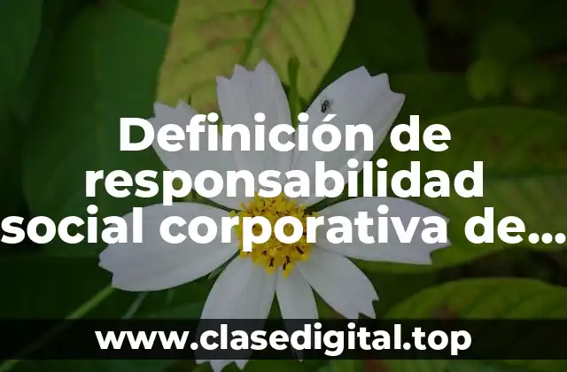 Definición de responsabilidad social corporativa de una empresa