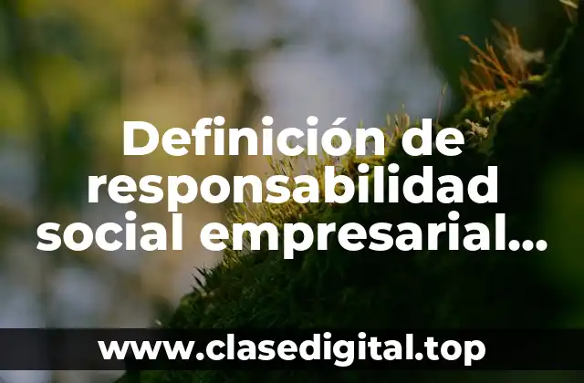 Definición de responsabilidad social empresarial en Honduras