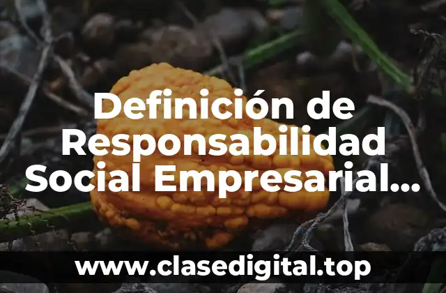 Definición técnica de Responsabilidad Social Empresarial Norma ISO 26000