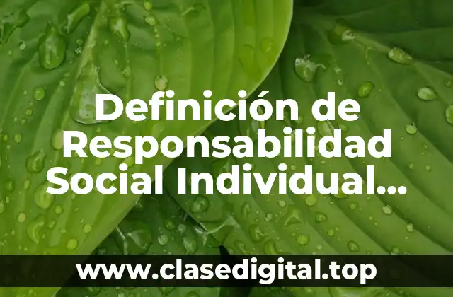 Definición de Responsabilidad Social Individual (RSI)