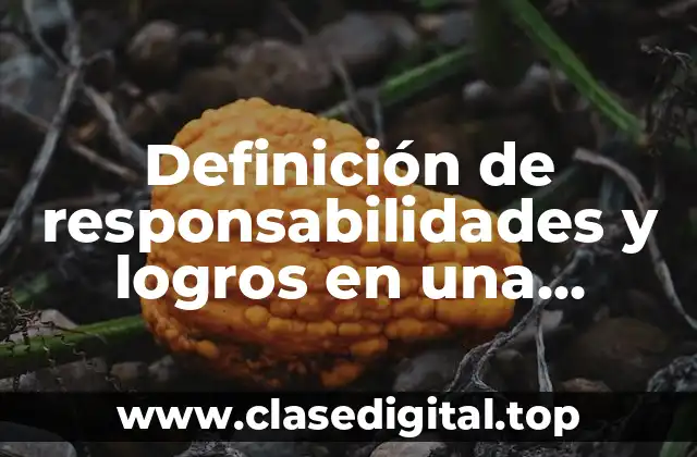 Definición de responsabilidades y logros en una empresa