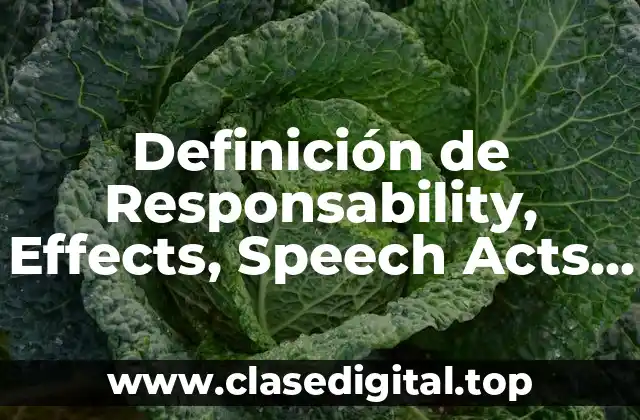 Definición de Responsability, Effects, Speech Acts y Arguments