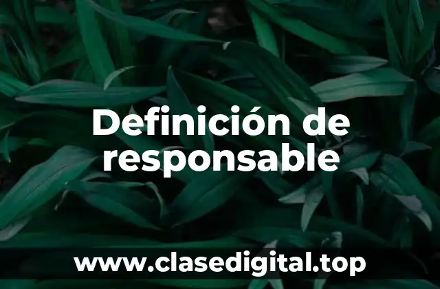 Definición de responsable