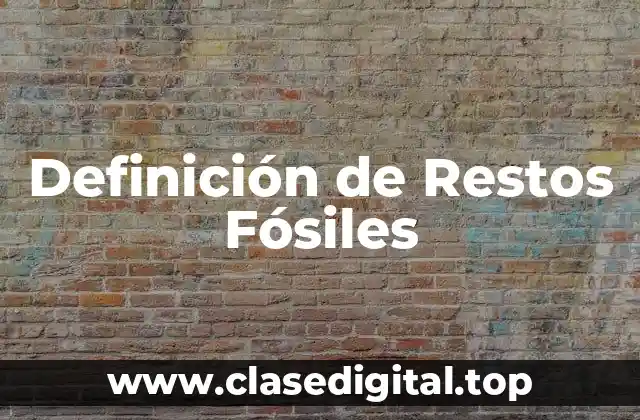 Definición de Restos Fósiles