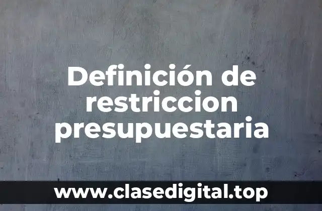 Definición de restriccion presupuestaria