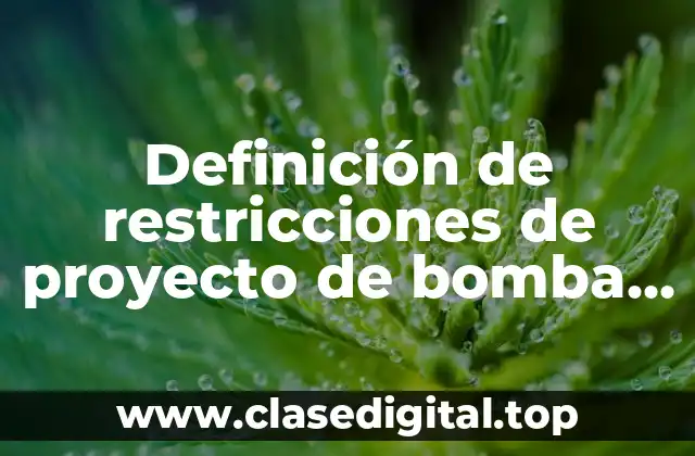 Definición de restricciones de proyecto de bomba extractora de petróleo