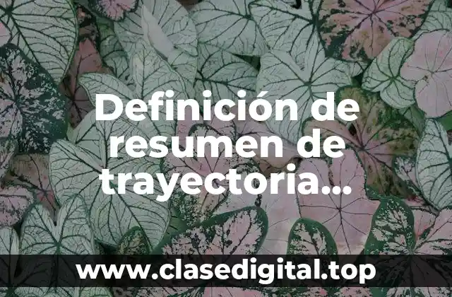 Definición de resumen de trayectoria profesional