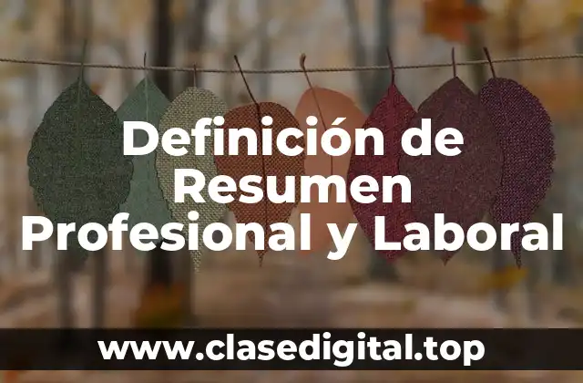 Definición de Resumen Profesional y Laboral