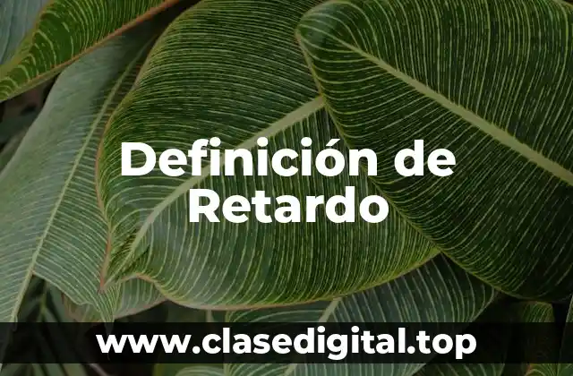 Definición técnica de Retardo