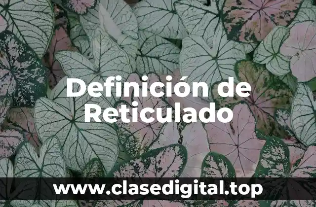 Definición técnica de Reticulado