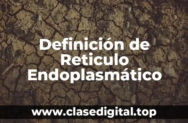 Definición de Reticulo Endoplasmático
