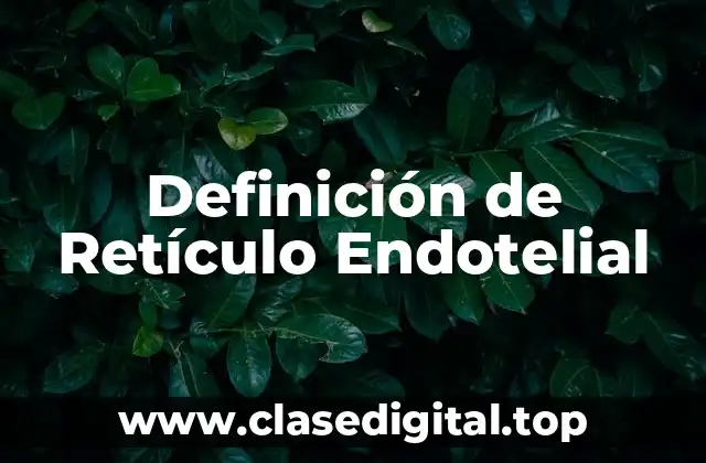 Definición técnica de Retículo Endotelial